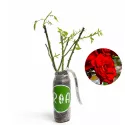 Róża floribunda czerwona