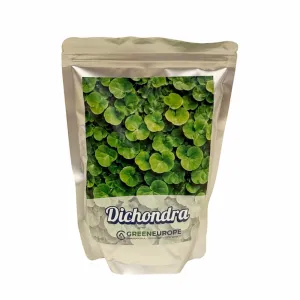 Nasiona Dichondra repens 500 g