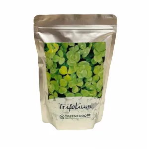 Nasiona koniczyny białej odmiana karłowa 500 g