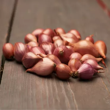 Cebula czerwona Rosanna
