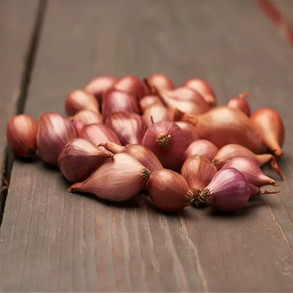 Cebula czerwona Rosanna