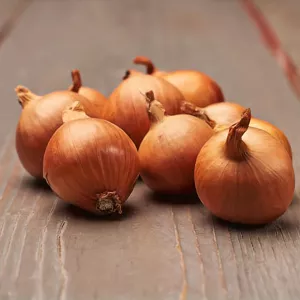 Szalotka Golden Gourmet