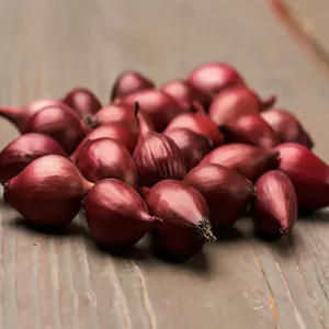 Cebula czerwona Red Karmen
