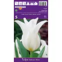 Tulipan Liliokształtne Ballade White