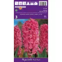 Hiacynt Pink Pearl