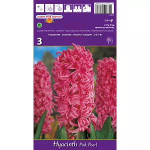 Hiacynt Pink Pearl