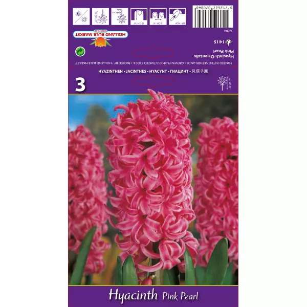 Hiacynt Pink Pearl
