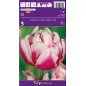Tulipan Pełne Horizon