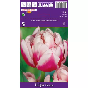 Tulipan Pełne Horizon