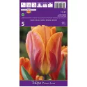 Tulipan Triumf Princes Irene