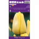 Tulipan Triumf Stronggold
