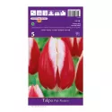 Tulipan Triumf Pole Position