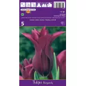 Tulipan Liliokształtne Burgundy