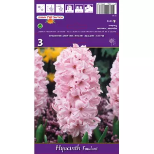 Hiacynt Fondant