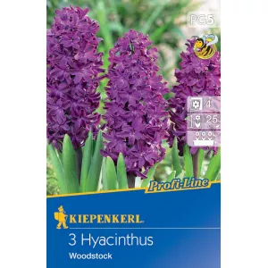 Hiacynt Woodstock