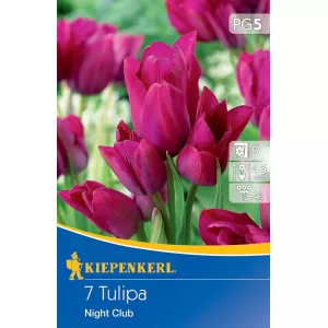 Tulipan Night Club