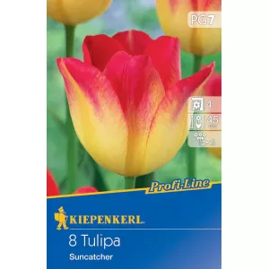 Tulipan Suncatcher 