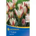 Tulipan The First