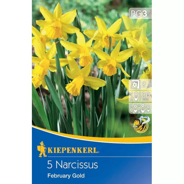 Narcyz February Gold