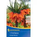 Szachownica Orange Beauty