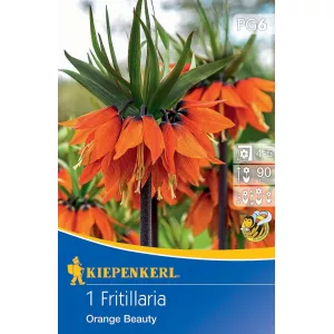 Szachownica Orange Beauty