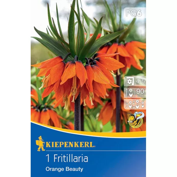 Szachownica Orange Beauty