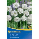 Czosnek (Allium) Graceful Beauty