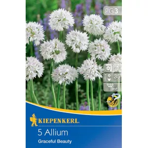 Czosnek (Allium) Graceful Beauty