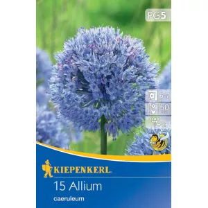 Czosnek (Allium)