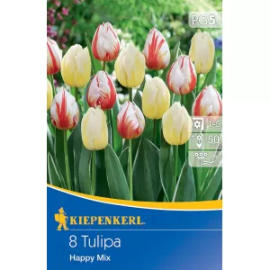 Mieszanka kolorów Tulipan Happy