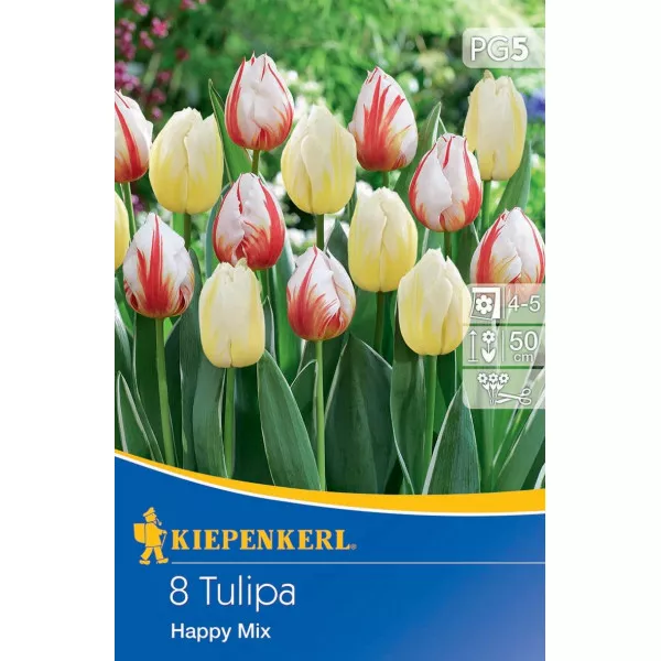 Mieszanka kolorów Tulipan Happy