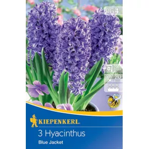Hiacynt Blue Jacket