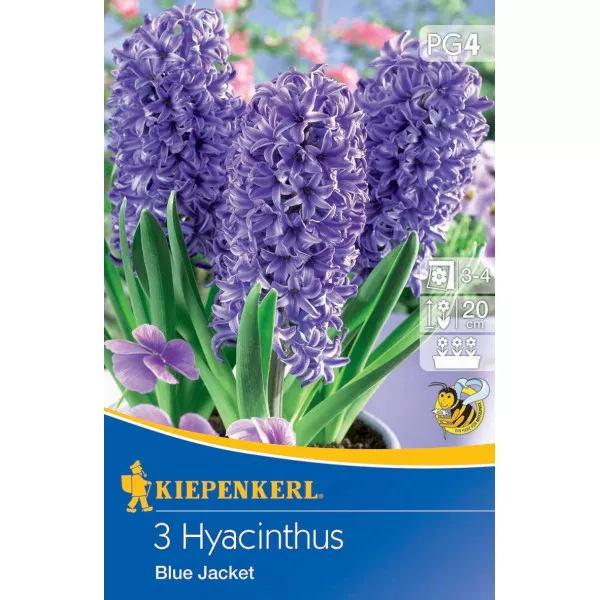 Hiacynt Blue Jacket