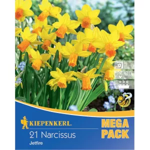 Mega Pack Narcyz Jetfire