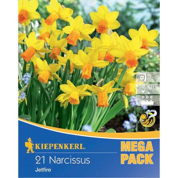 Mega Pack Narcyz Jetfire