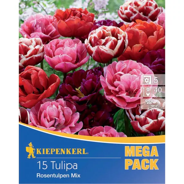 Mega Pack tulipany typu Rose, mieszane kolory