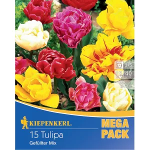 Mega Pack Tulipan mix kolorów