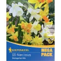 Mega Pack Narcyz Rock Garden mix