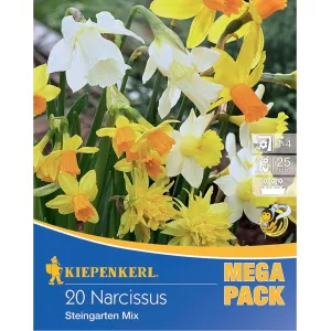 Mega Pack Narcyz Rock Garden mix
