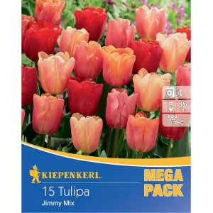 Mega Pack Tulipan Jimmy mix 