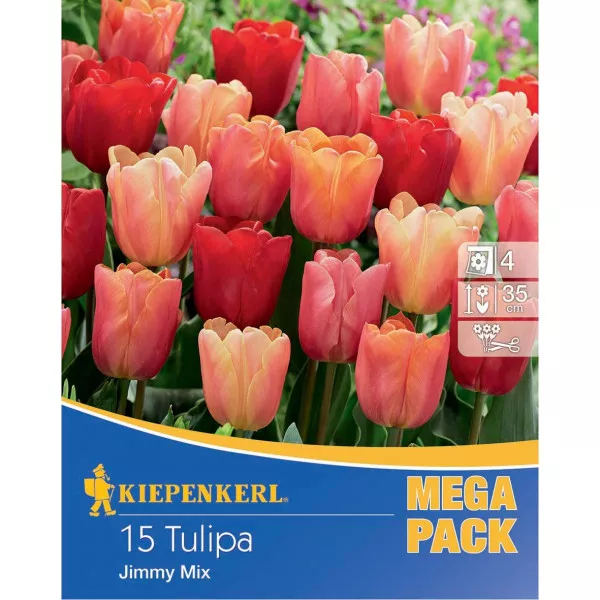 Mega Pack Tulipan Jimmy mix 