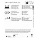 Mega Pack Tulipan Freaky Spring mix 