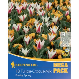 Mega Pack Tulipan Freaky Spring mix 