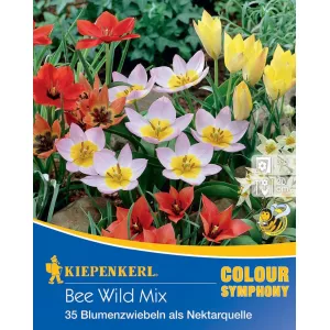 Cebulki kwiatowe Bee Wild