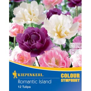 Cebulki kwiatowe Romantic Island