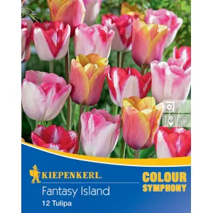 Tulipan Fantasy Island