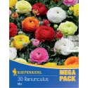 Mega Pack Jaskier mix