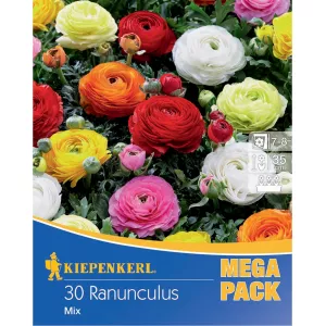 Mega Pack Jaskier mix
