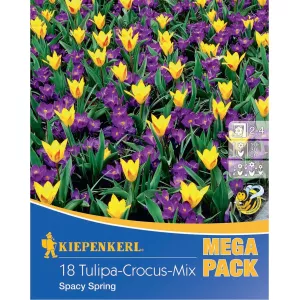 Mega Pack Krokus Space Spring mix 