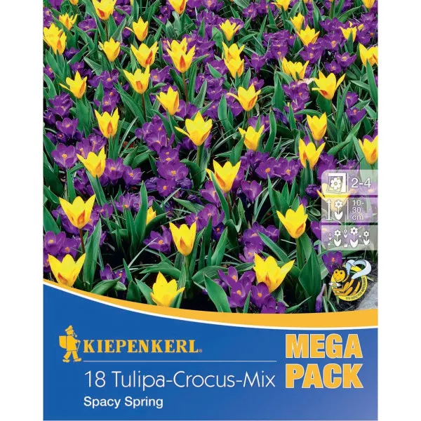 Mega Pack Krokus Space Spring mix 